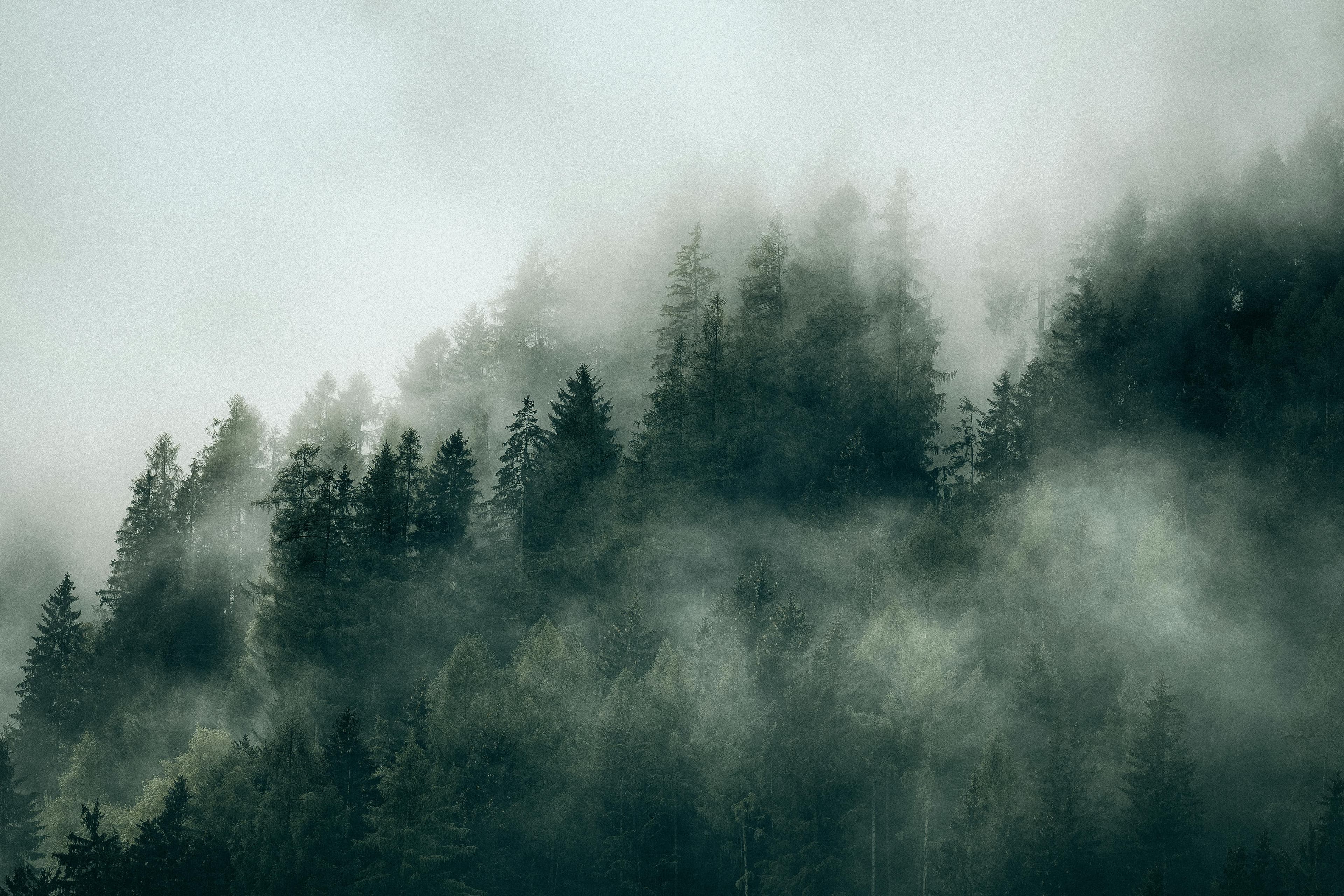 Shaik Jubair Ahmed - Full Stack Developer